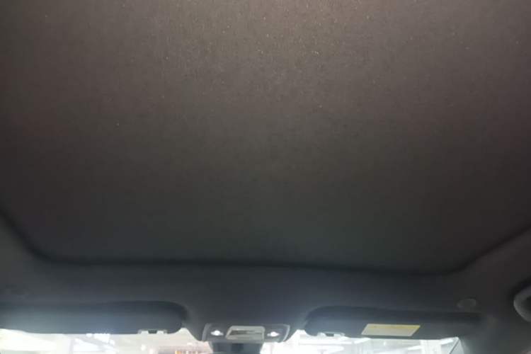 Used BYD Dolphin 2023 420 km Fashion Edition Headliner