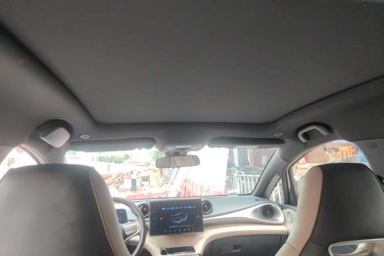 Used BYD Dolphin 2023 420 km Fashion Edition Headliner