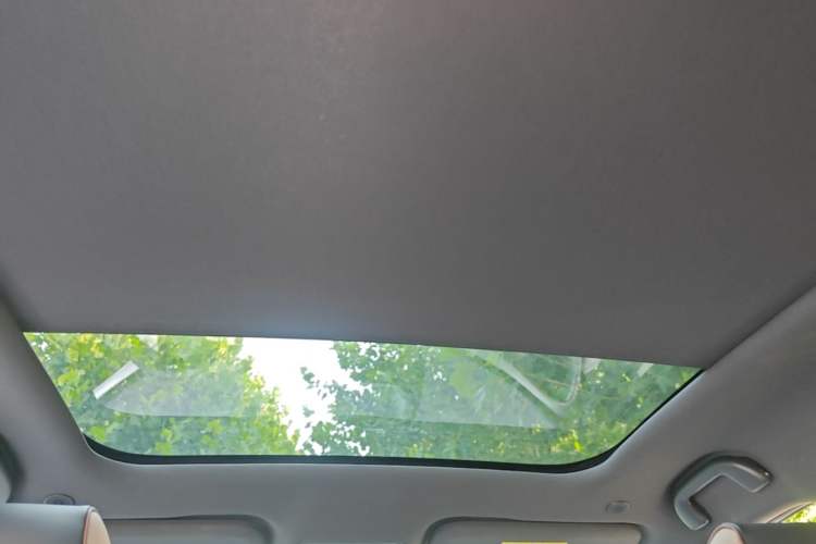 Used BYD Dolphin 2023 420 km Fashion Edition Headliner
