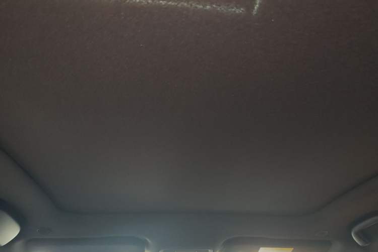 Used BYD Dolphin 2023 420 km Fashion Edition Headliner