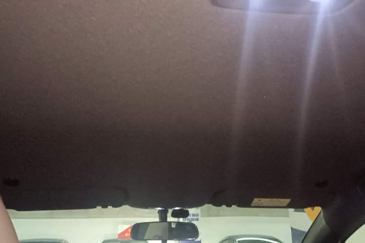 Used BYD Dolphin 2023 420 km Free Version Headliner