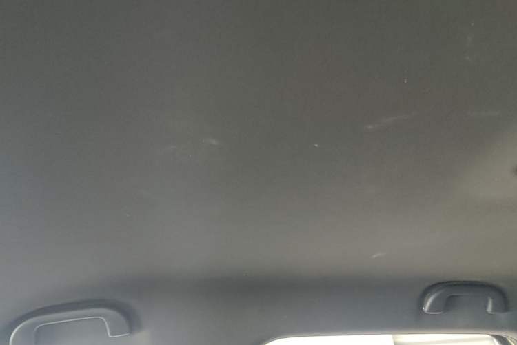 Used BYD Dolphin 2023 420 km Free Version Headliner