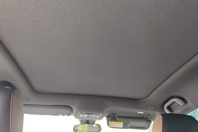 Used BYD Dolphin 2023 420 km Fashion Edition Headliner