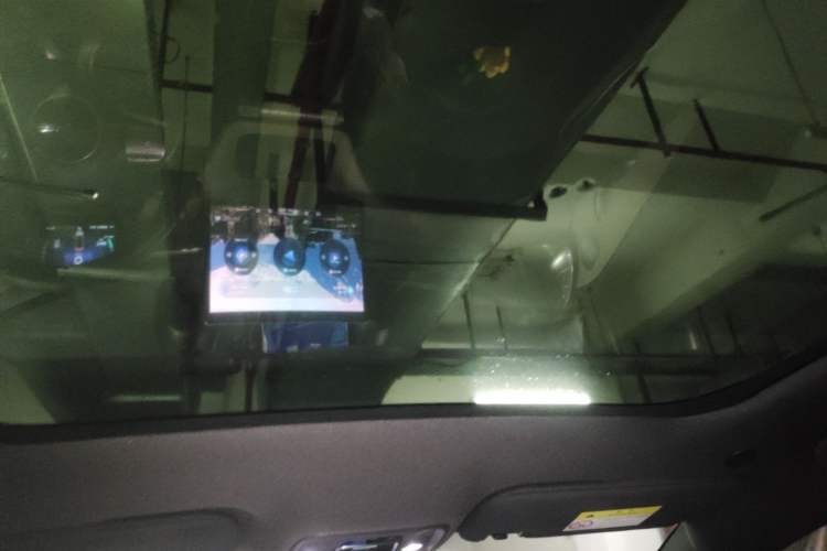 Used BYD Dolphin 2023 420 km Fashion Edition Headliner