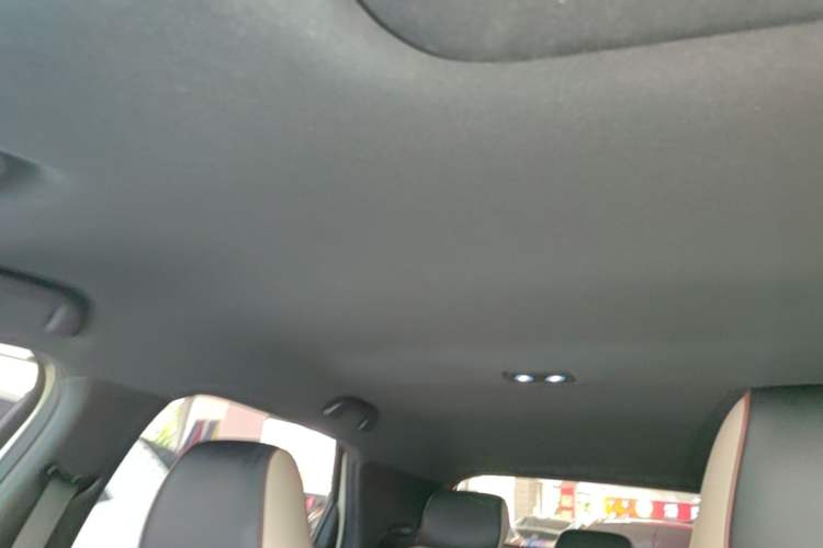 Used BYD Dolphin 2023 420 km Free Version Headliner