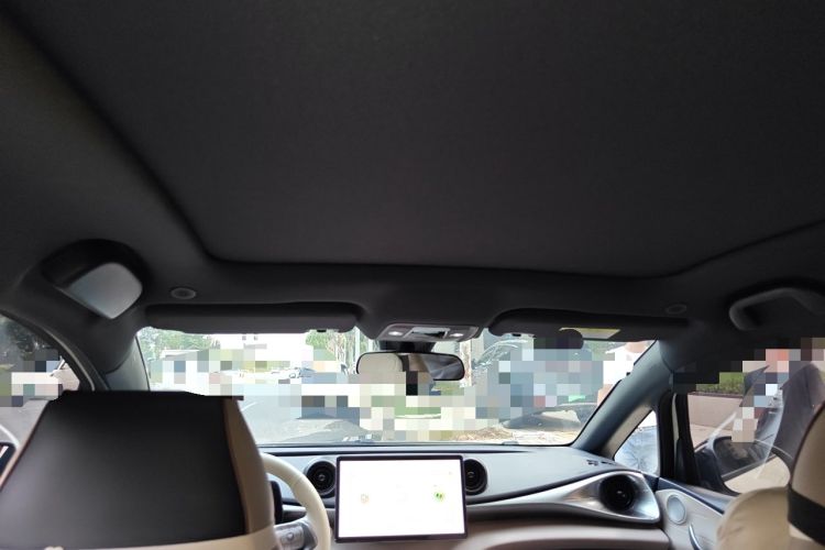 Used BYD Dolphin 2023 420 km Fashion Edition Headliner