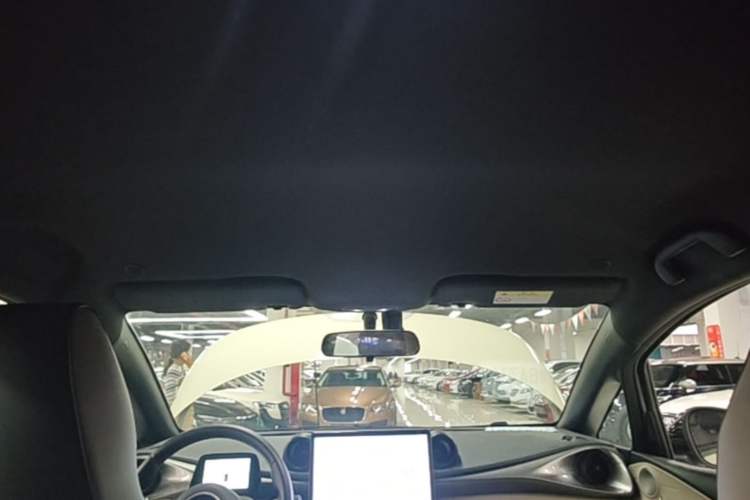 Used BYD Dolphin 2023 420 km Free Version Headliner