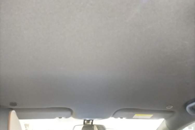 Used BYD Dolphin 2023 420 km Free Version Headliner