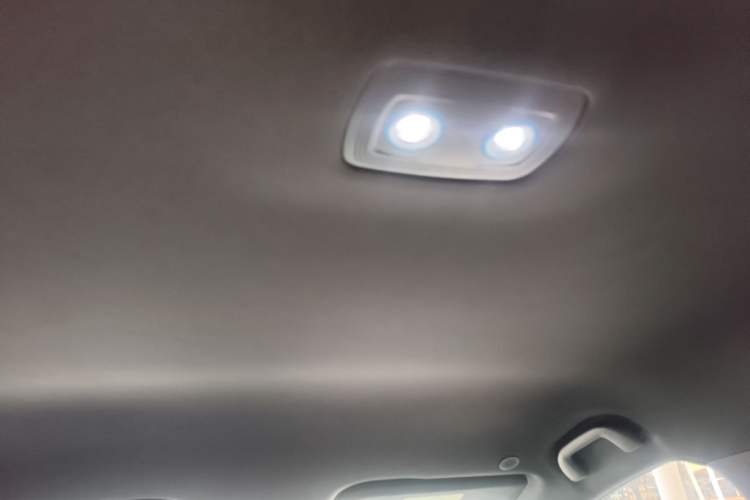 Used BYD Dolphin 2023 420 km Free Version Headliner