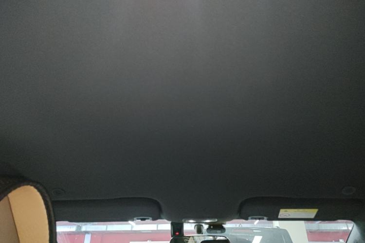 Used BYD Dolphin 2023 420 km Free Version Headliner