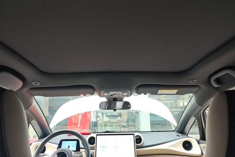 Used BYD Dolphin 2023 420 km Free Version Headliner