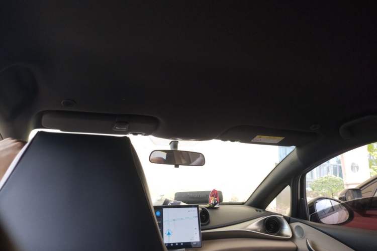 Used BYD Dolphin 2023 420 km Free Version Headliner