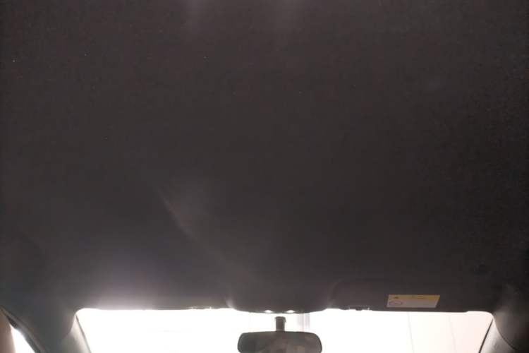 Used BYD Dolphin 2023 420 km Free Version Headliner