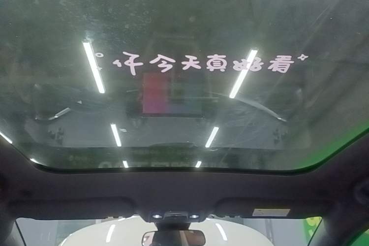 Used BYD Dolphin 2023 420 km Fashion Edition Headliner