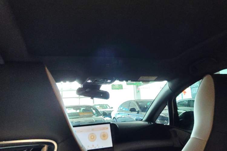 Used BYD Dolphin 2023 420 km Fashion Edition Headliner
