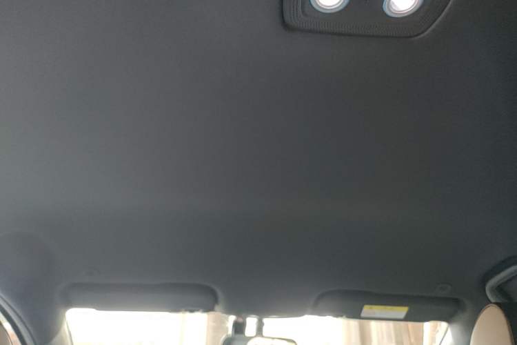 Used BYD Dolphin 2023 420 km Free Version Headliner