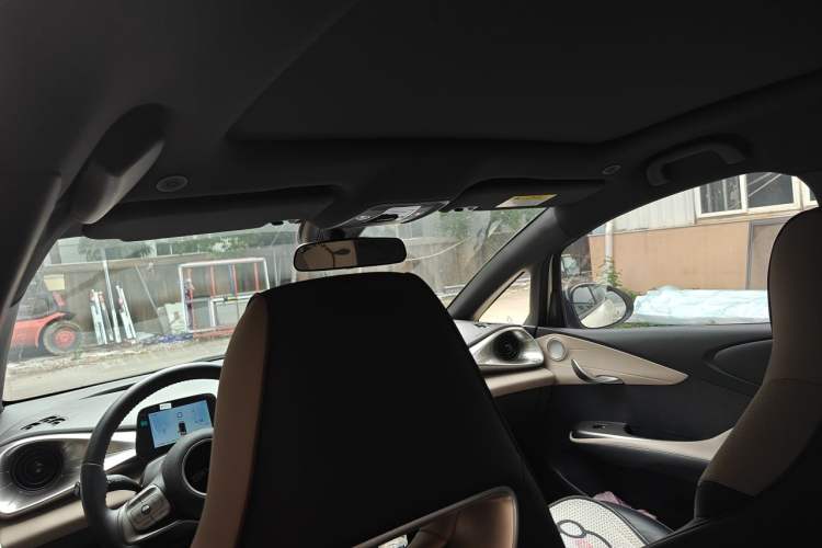 Used BYD Dolphin 2023 420 km Fashion Edition Headliner