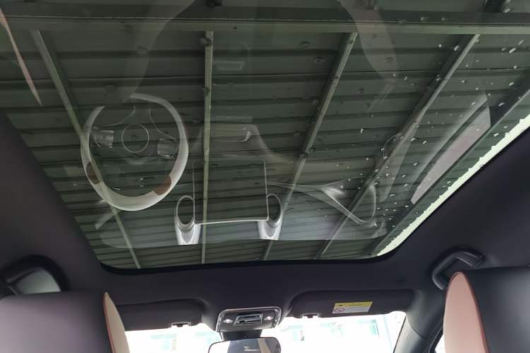 Used BYD Dolphin 2023 420 km Fashion Edition Headliner