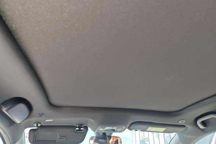 Used BYD Dolphin 2023 420 km Fashion Edition Headliner