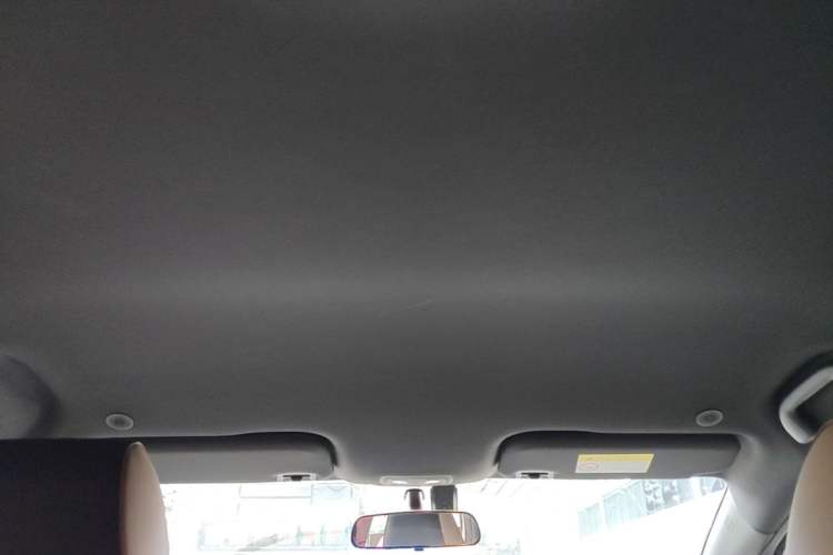 Used BYD Dolphin 2023 420 km Free Version Headliner