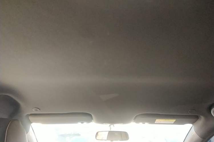 Used BYD Dolphin 2023 420 km Free Version Headliner