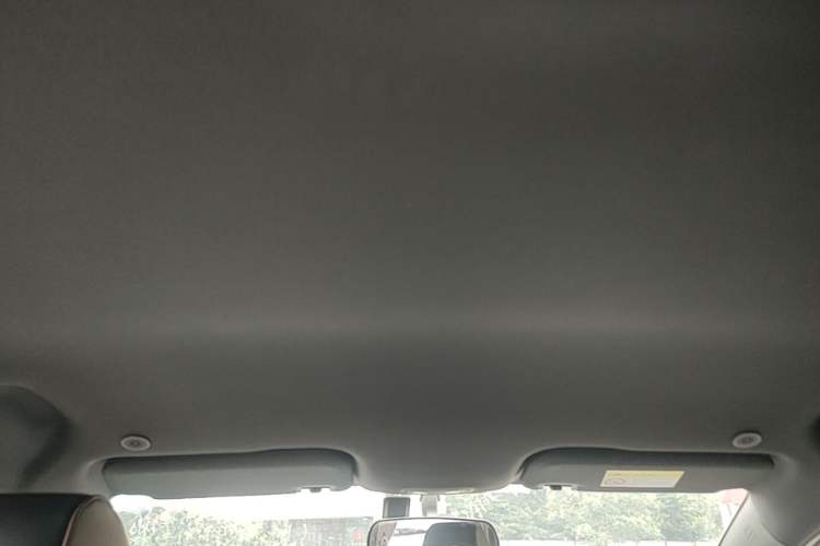 Used BYD Dolphin 2023 420 km Free Version Headliner