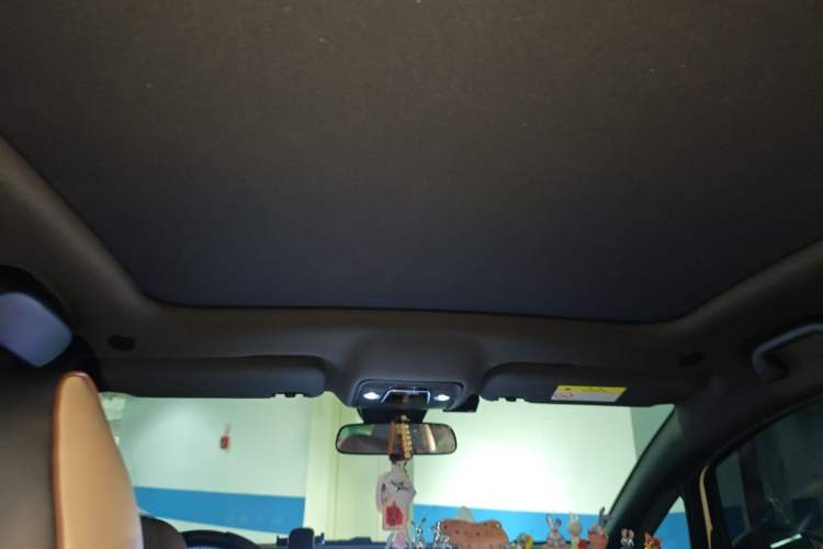 Used BYD Dolphin 2023 420 km Fashion Edition Headliner