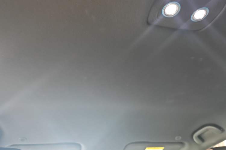 Used BYD Dolphin 2023 420 km Free Version Headliner
