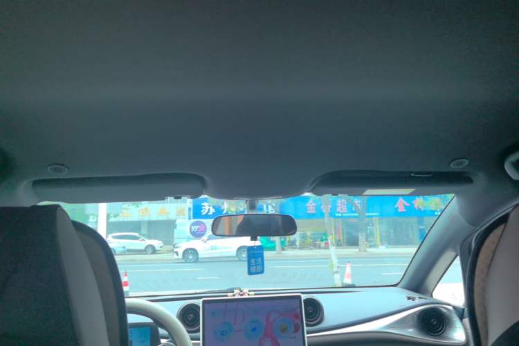 Used BYD Dolphin 2023 420 km Free Version Headliner