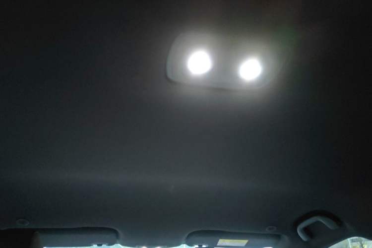 Used BYD Dolphin 2023 420 km Free Version Headliner