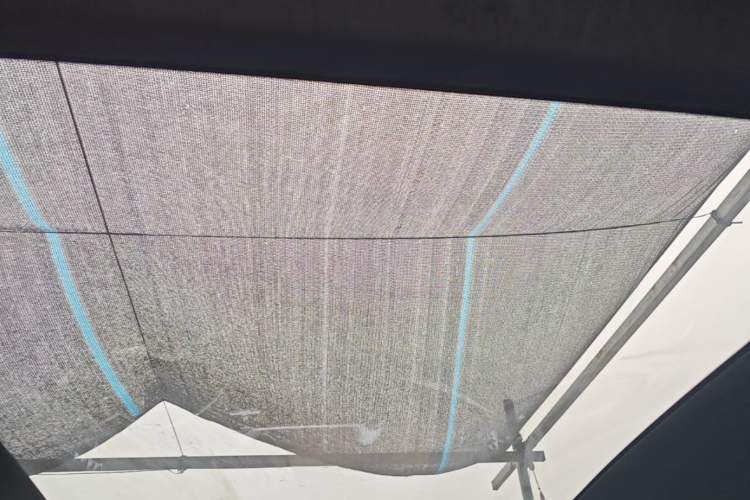 Used BYD Dolphin 2023 420 km Fashion Edition Headliner
