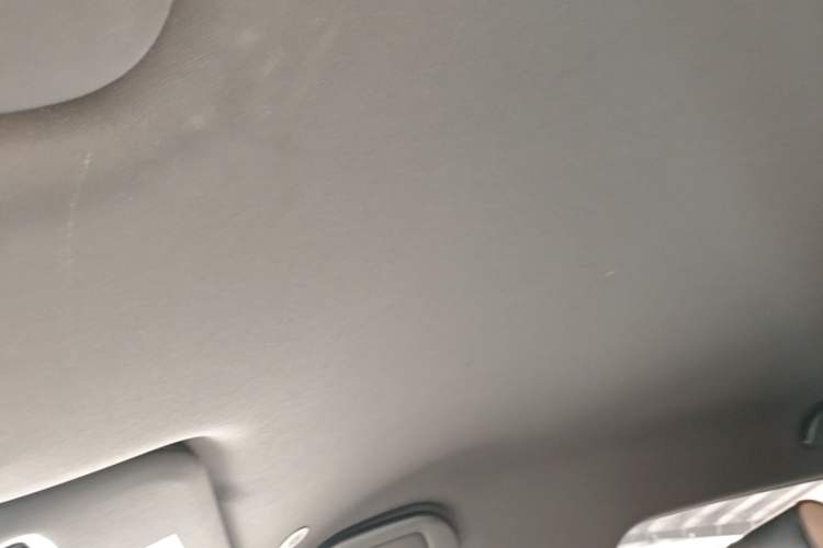 Used BYD Dolphin 2023 420 km Free Version Headliner