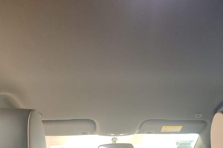 Used BYD Dolphin 2023 420 km Free Version Headliner