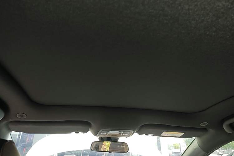 Used BYD Dolphin 2023 420 km Fashion Edition Headliner