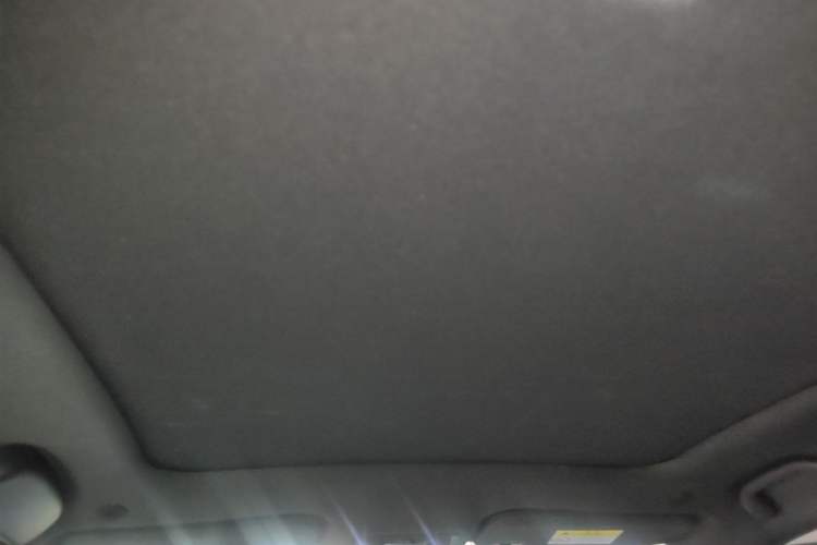Used BYD Dolphin 2023 420 km Fashion Edition Headliner