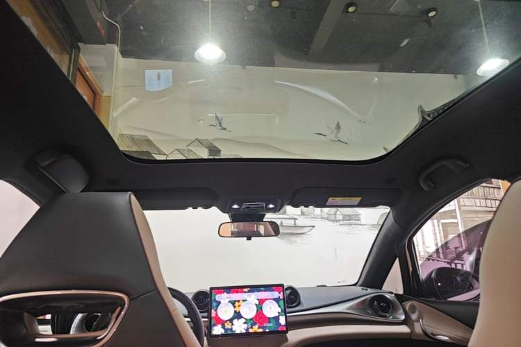 Used BYD Dolphin 2023 420 km Fashion Edition Headliner