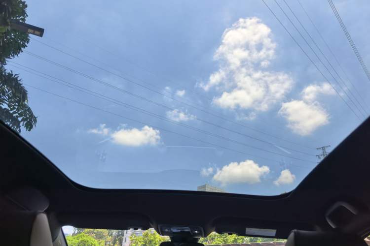 Used BYD Dolphin 2023 420 km Fashion Edition Headliner