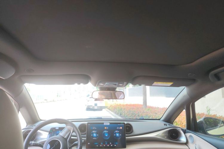 Used BYD Dolphin 2023 420 km Fashion Edition Headliner