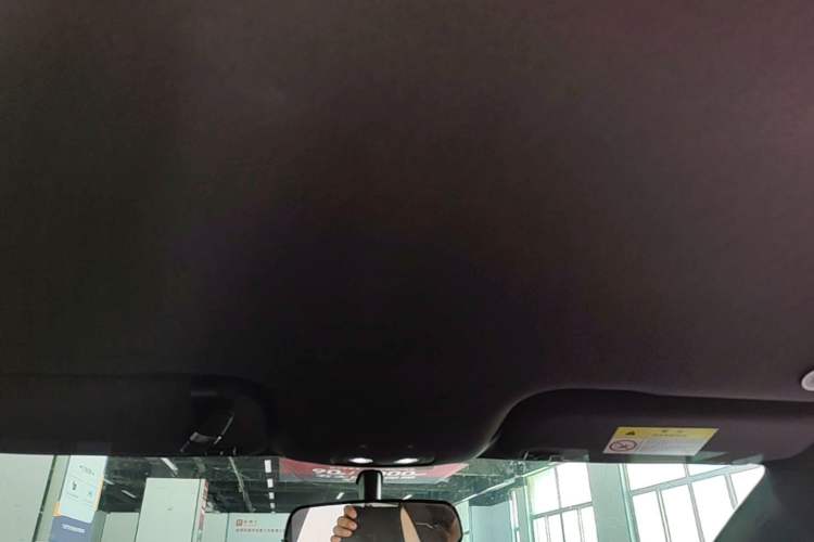 Used BYD Dolphin 2023 420 km Free Version Headliner