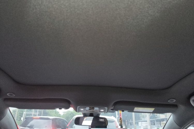 Used BYD Dolphin 2023 420 km Fashion Edition Headliner