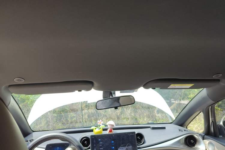 Used BYD Dolphin 2023 420 km Free Version Headliner