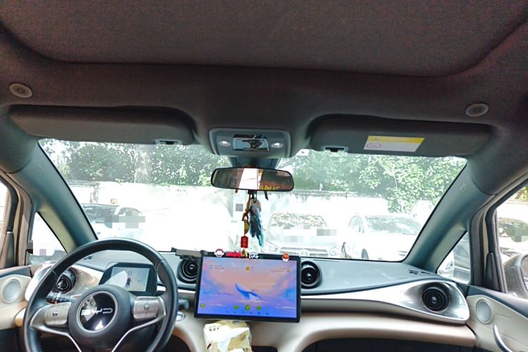 Used BYD Dolphin 2023 420 km Fashion Edition Headliner