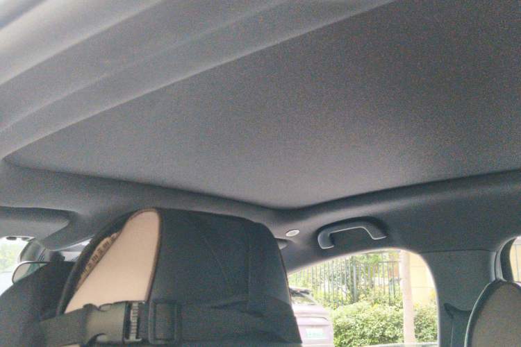Used BYD Dolphin 2023 420 km Fashion Edition Headliner