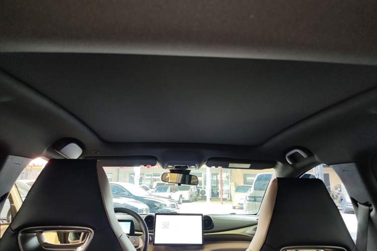 Used BYD Dolphin 2023 420 km Fashion Edition Headliner