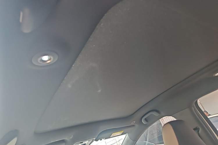 Used BYD Dolphin 2023 420 km Fashion Edition Headliner