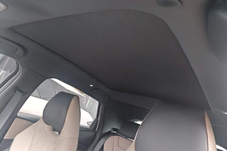 Used BYD Dolphin 2023 420 km Fashion Edition Headliner