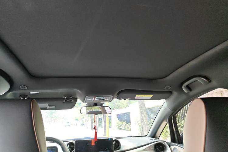 Used BYD Dolphin 2023 420 km Fashion Edition Headliner