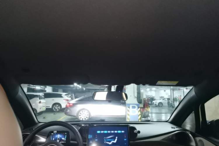 Used BYD Dolphin 2023 420 km Free Version Headliner