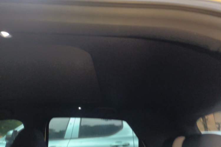 Used BYD Dolphin 2023 420 km Fashion Edition Headliner