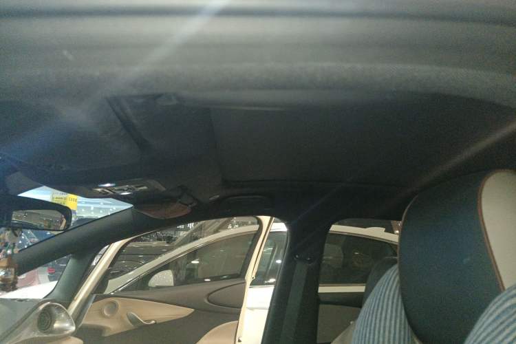 Used BYD Dolphin 2023 420 km Fashion Edition Headliner